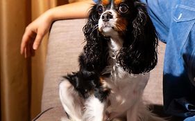 Sofitel Philadelphia At Rittenhouse Square